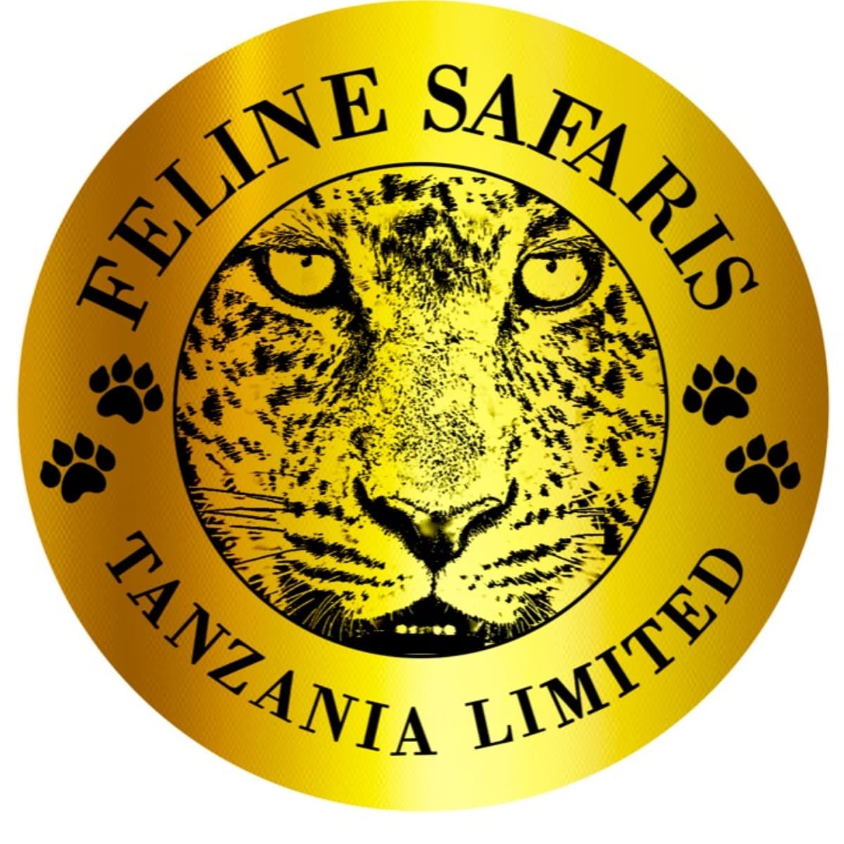FELINE SAFARIS TANZANIA