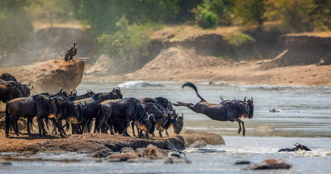 5-Day Affordable Wildlife Safari and Waterfalls
