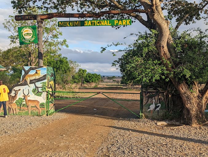 2-Day 1 Night safari experience to Mikumi National Park by SGR Train.