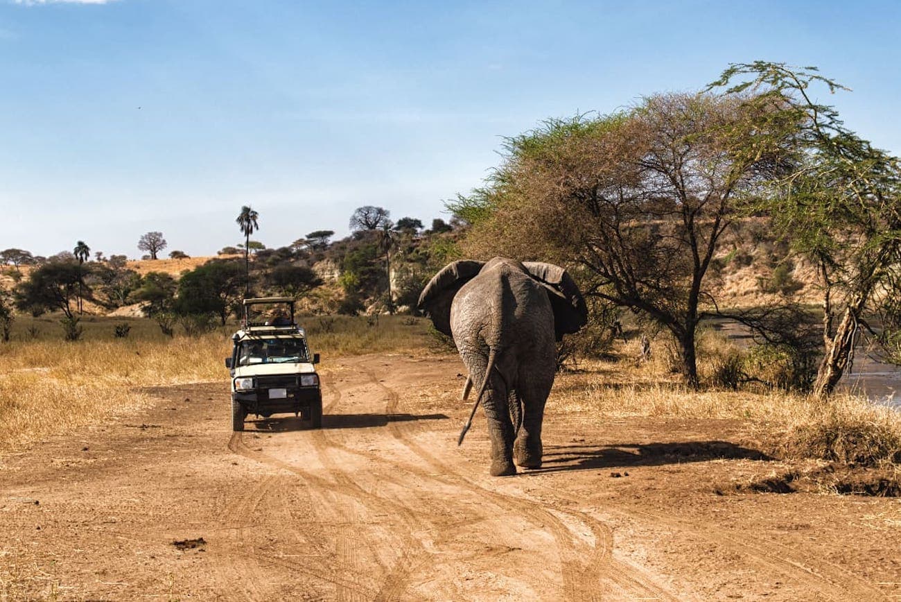 3-Day Big Five Serengeti & Ngorongoro Safari