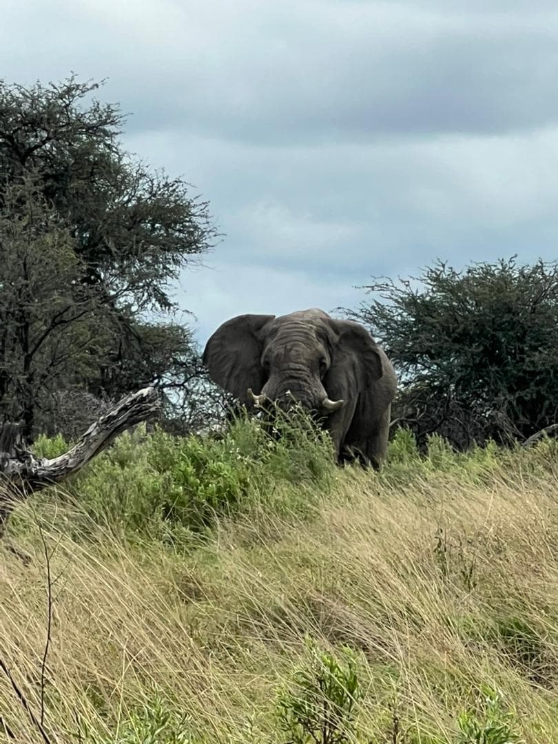 4-Day Drifting Through the Delta with Mokoro Safari