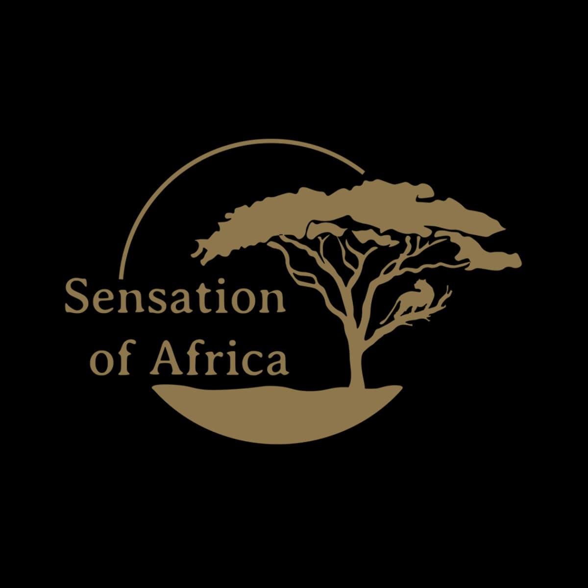 SENSATION OF AFRICA