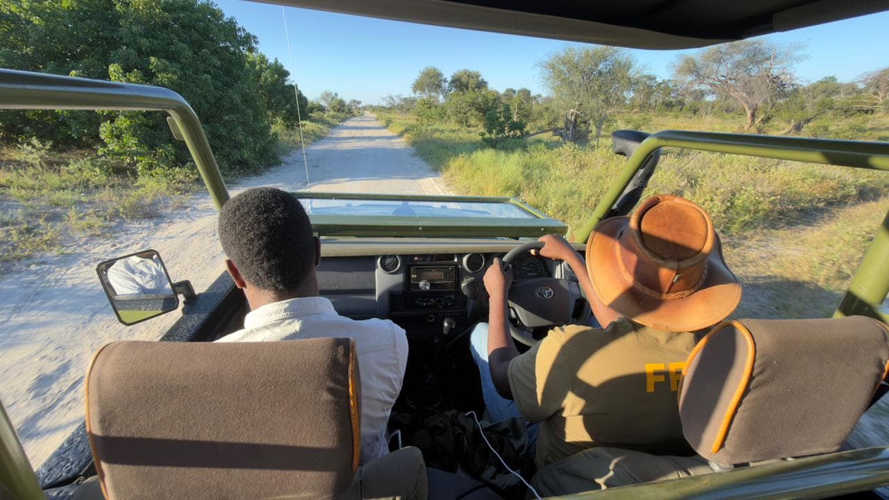 6-Day From Moremi to the Delta: A Classic Botswana Safari