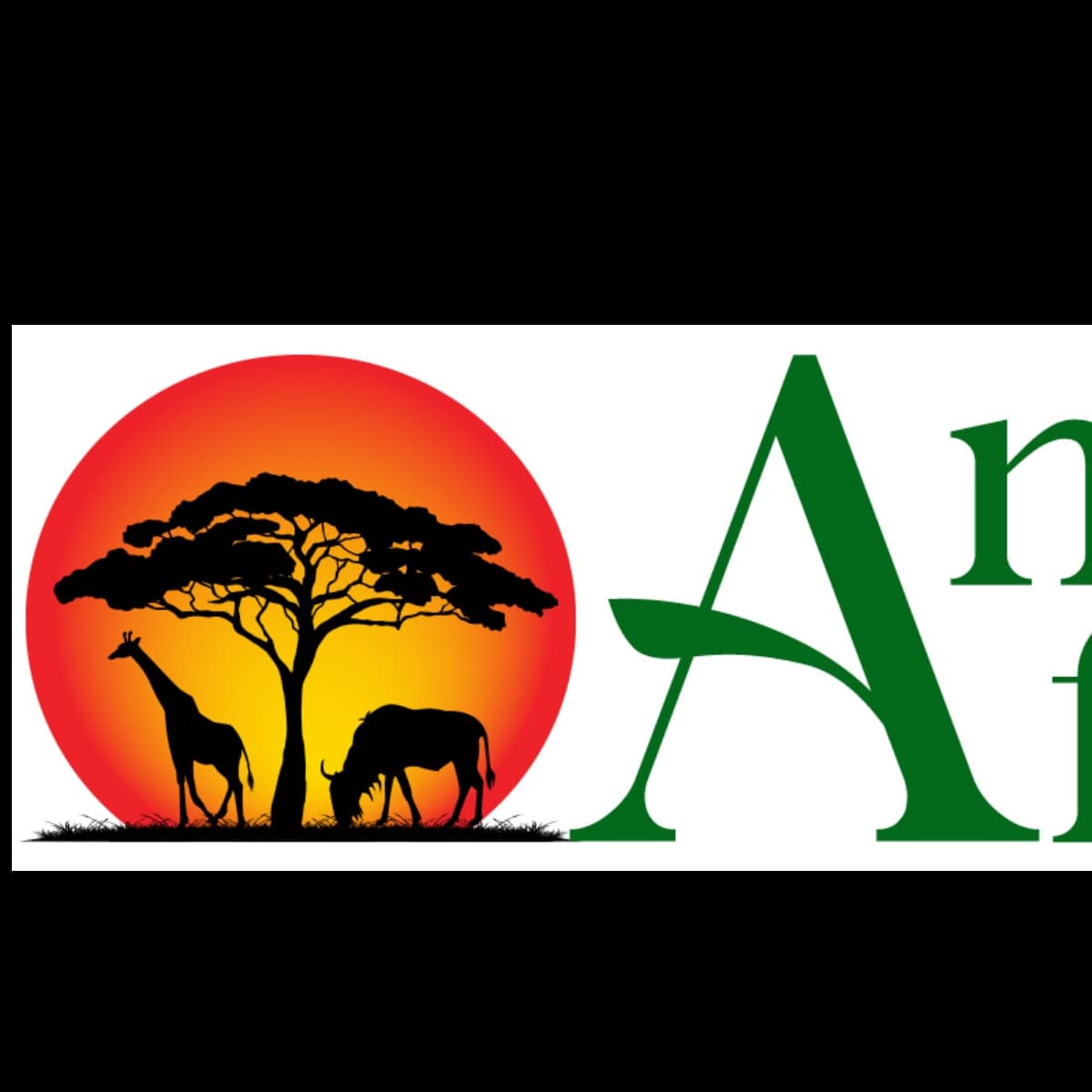 Amazing Africa Tours & Travels ltd
