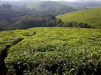 3-Day Best of Burundi Experience