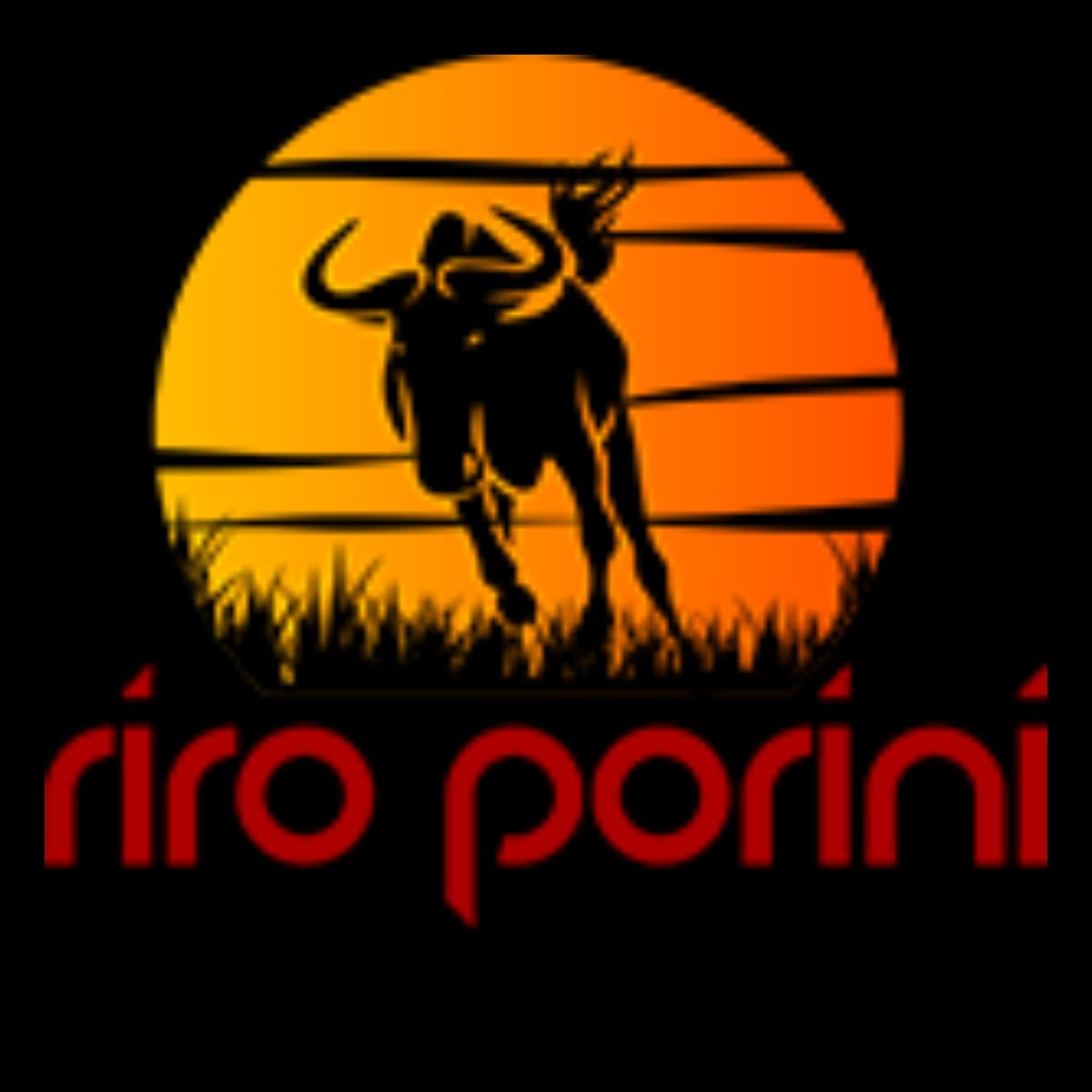 Riro Porini Tours and Safaris