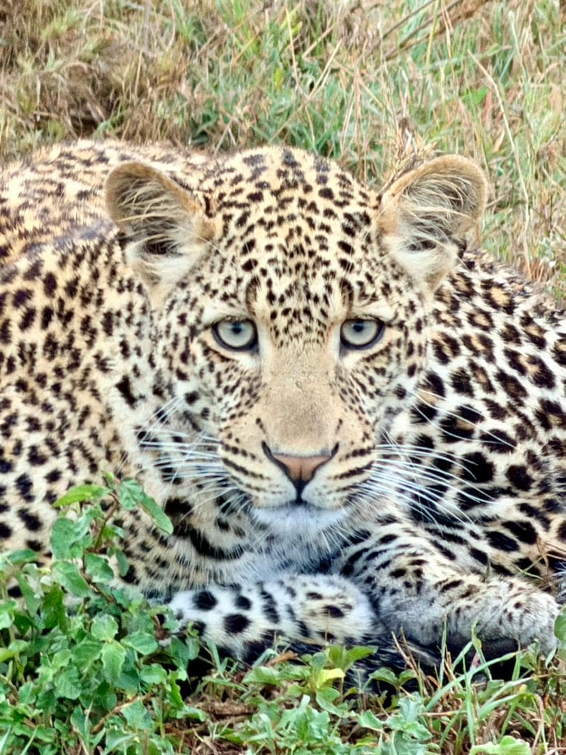 3-Day Private Tarangire, Ngorongoro Crater & Lake Manyara Safari | Big Five Experience - Gallery 4
