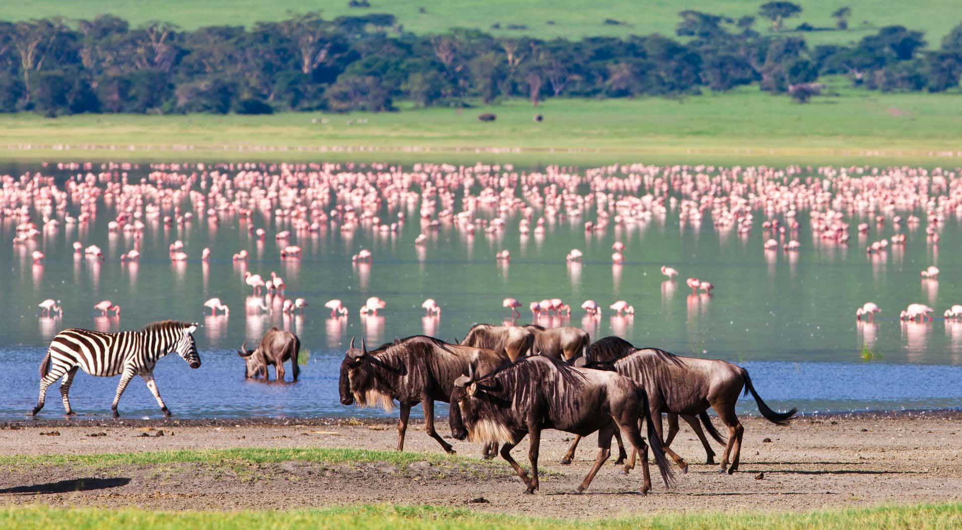 2-Day Tarangire & Ngorongoro Safari Escape - Main