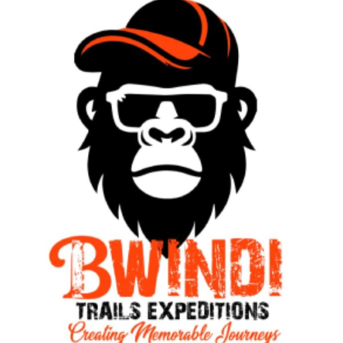 BWINDI TRAILS EXPEDITIONS LTD