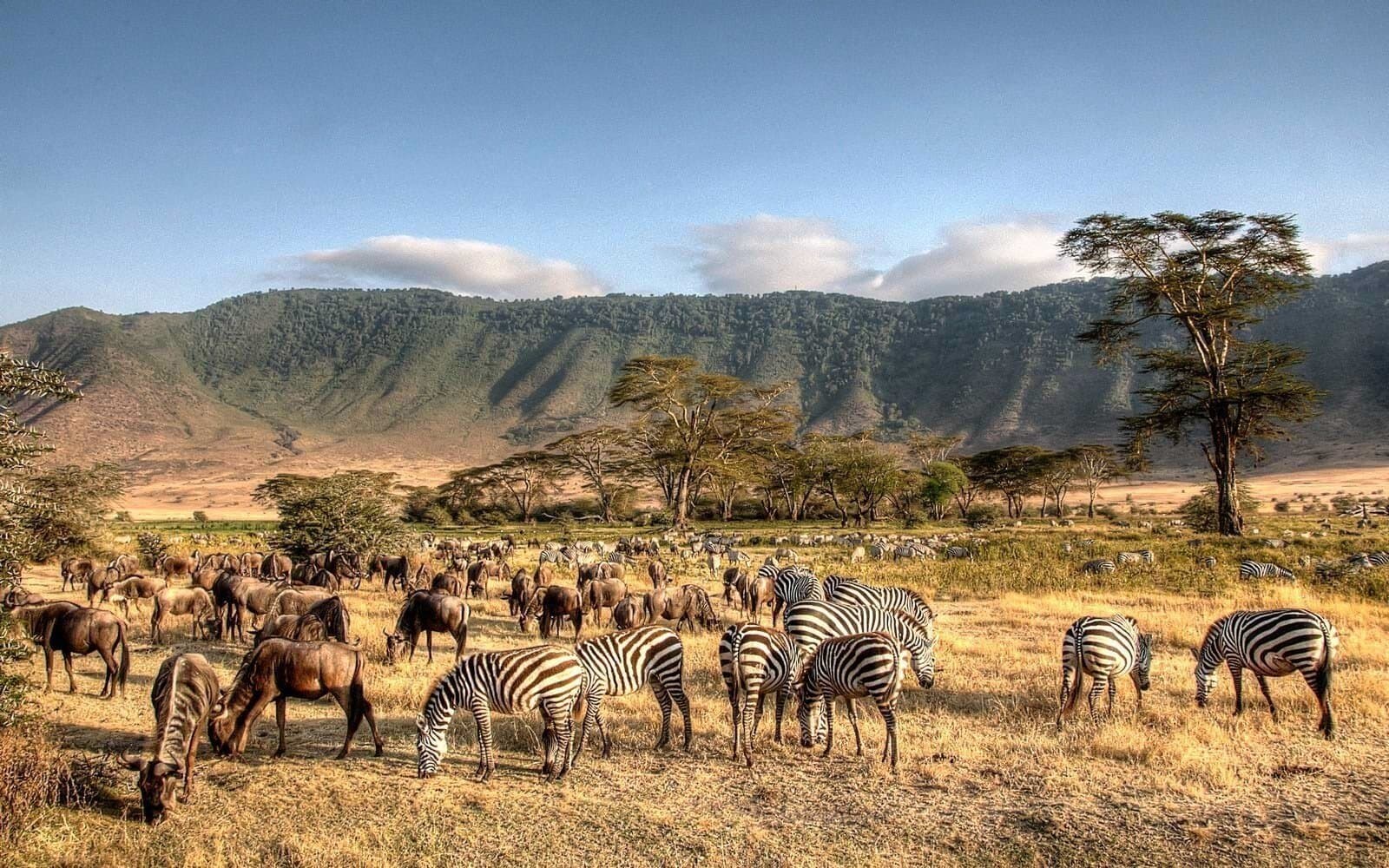 4-Day Tanzania Luxury Safari