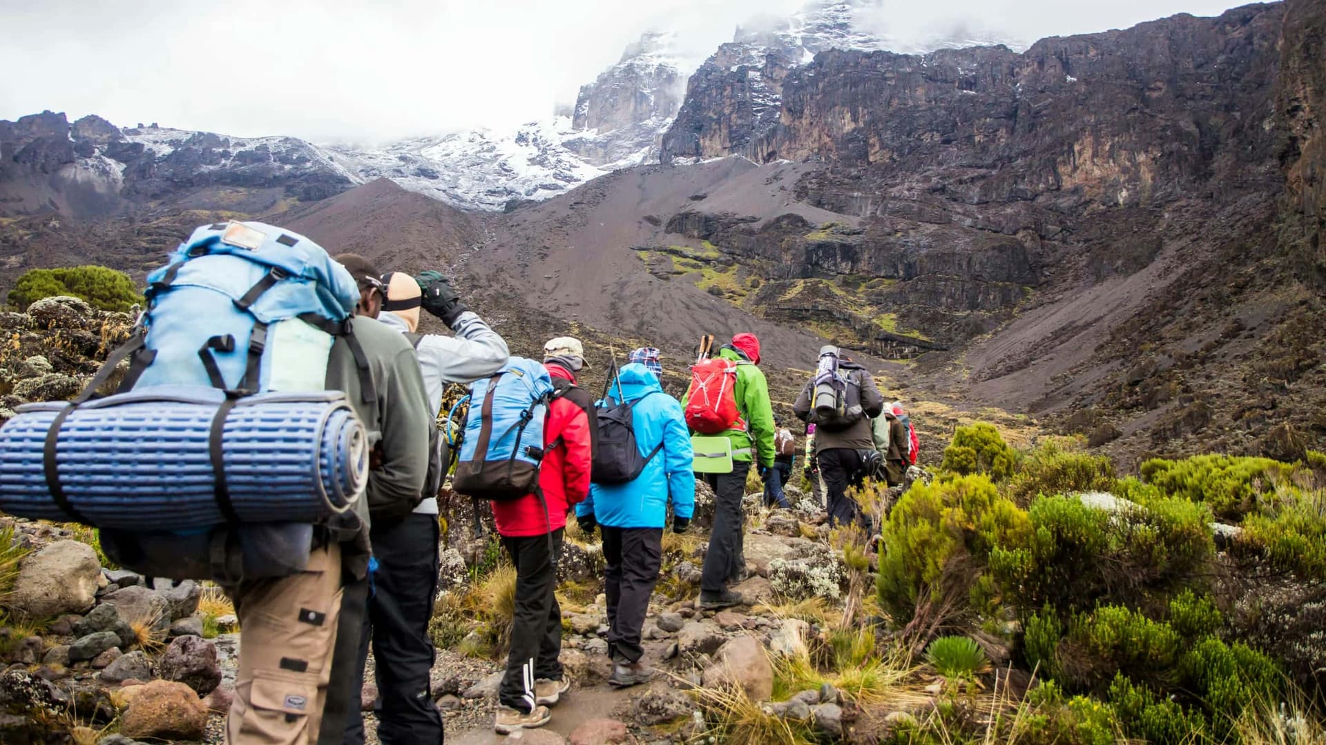 9-Day Kilimanjaro expedition Lemosho route - Main