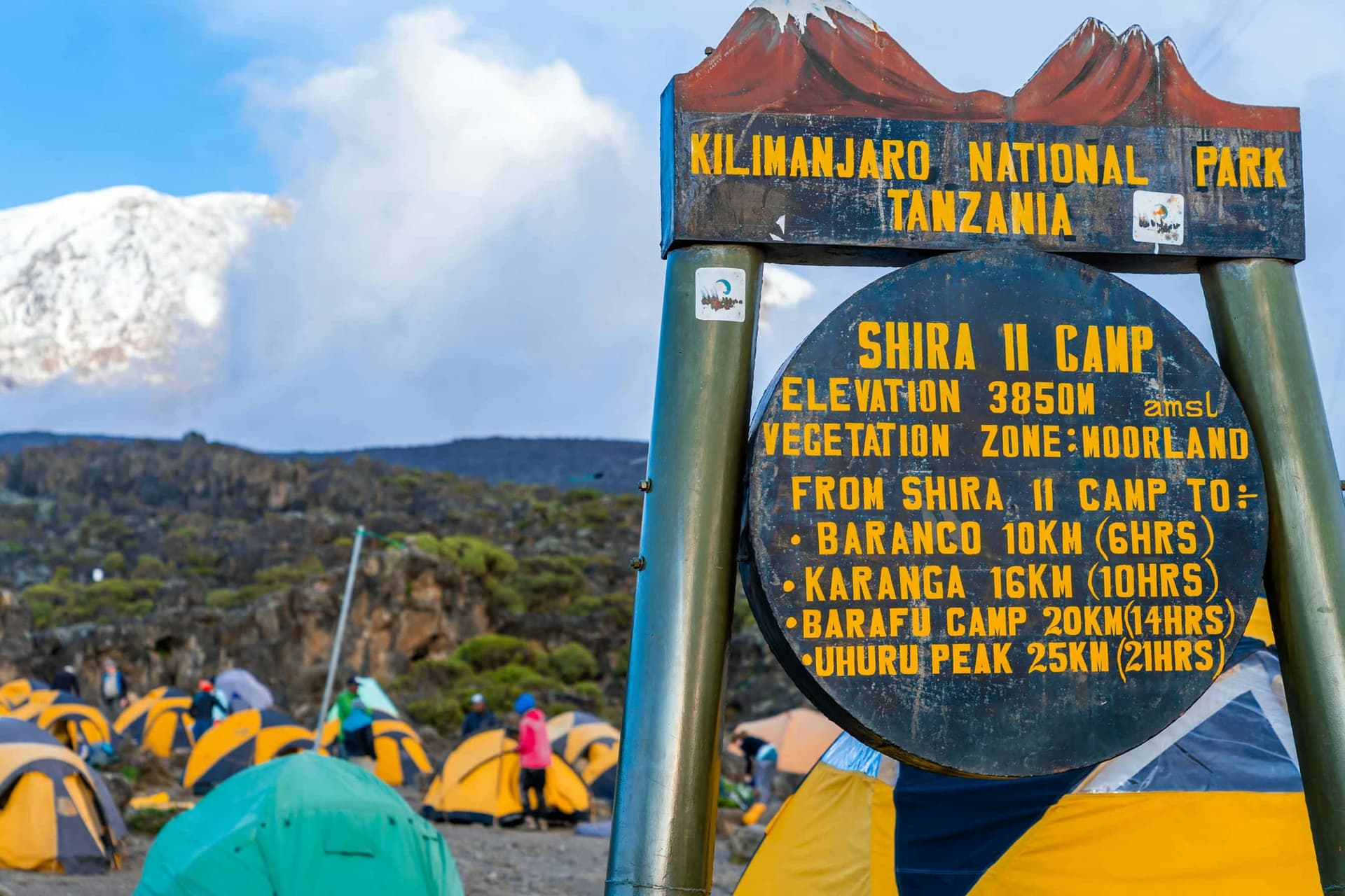 9-Day Kilimanjaro expedition Lemosho route - Gallery 2