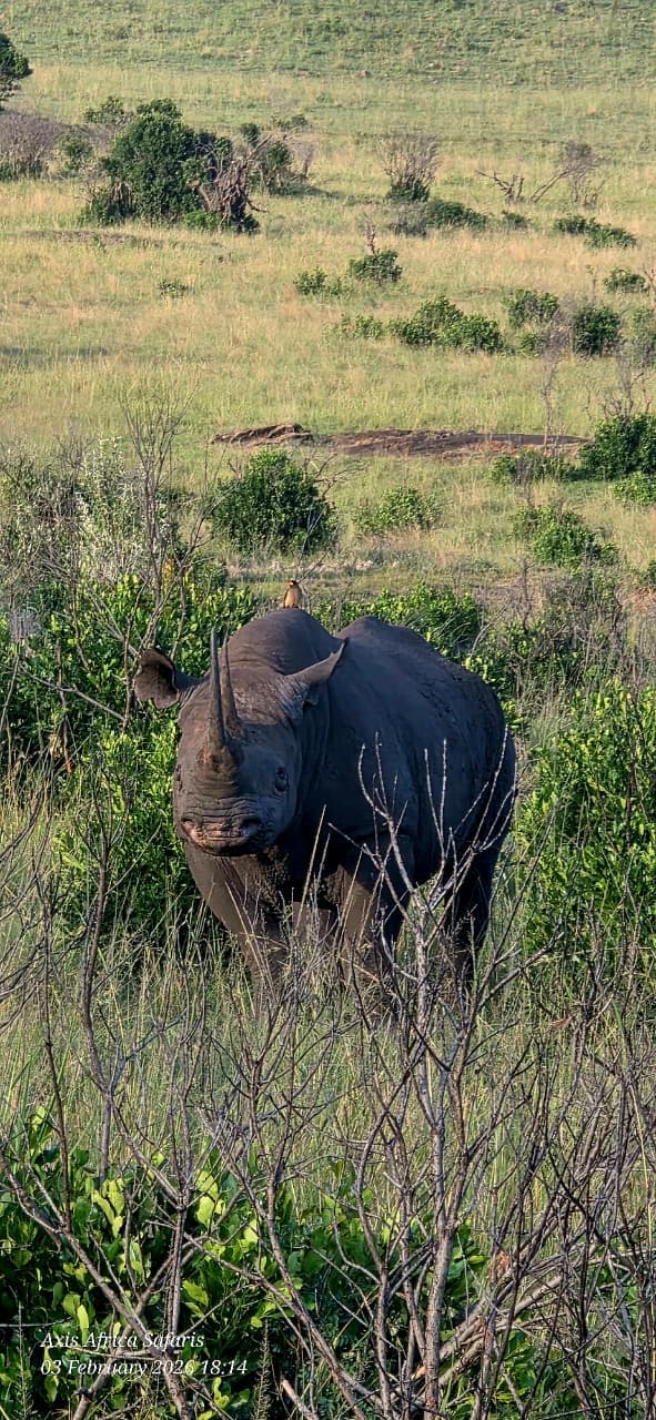 3-Day Masai Mara Private Budget Safari - Gallery 4