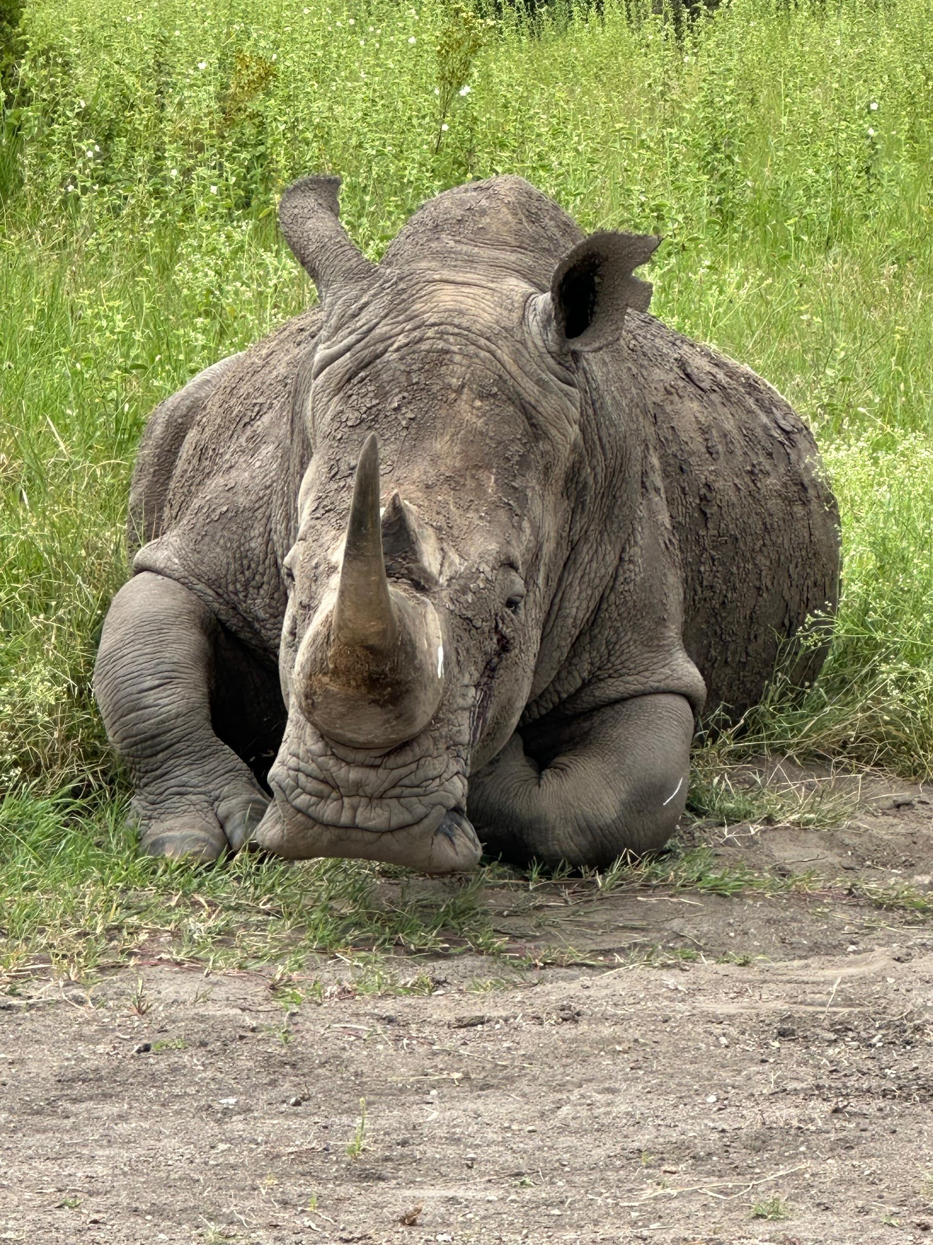 2-Day Lake Nakuru, Lake Naivasha & Crescent Island Mid Range Adventure