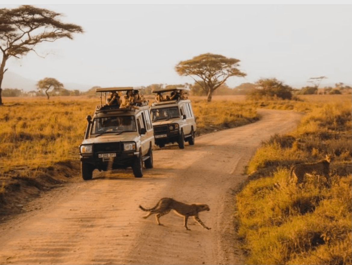 4-Day Tanzania Wildlife Safari from Arusha – Serengeti, Ngorongoro Crater & Tarangire Big Five Adventure