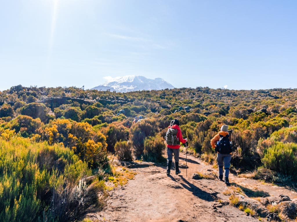 9-Day Northern Circuit Route Trek – Kilimanjaro Climb - Main