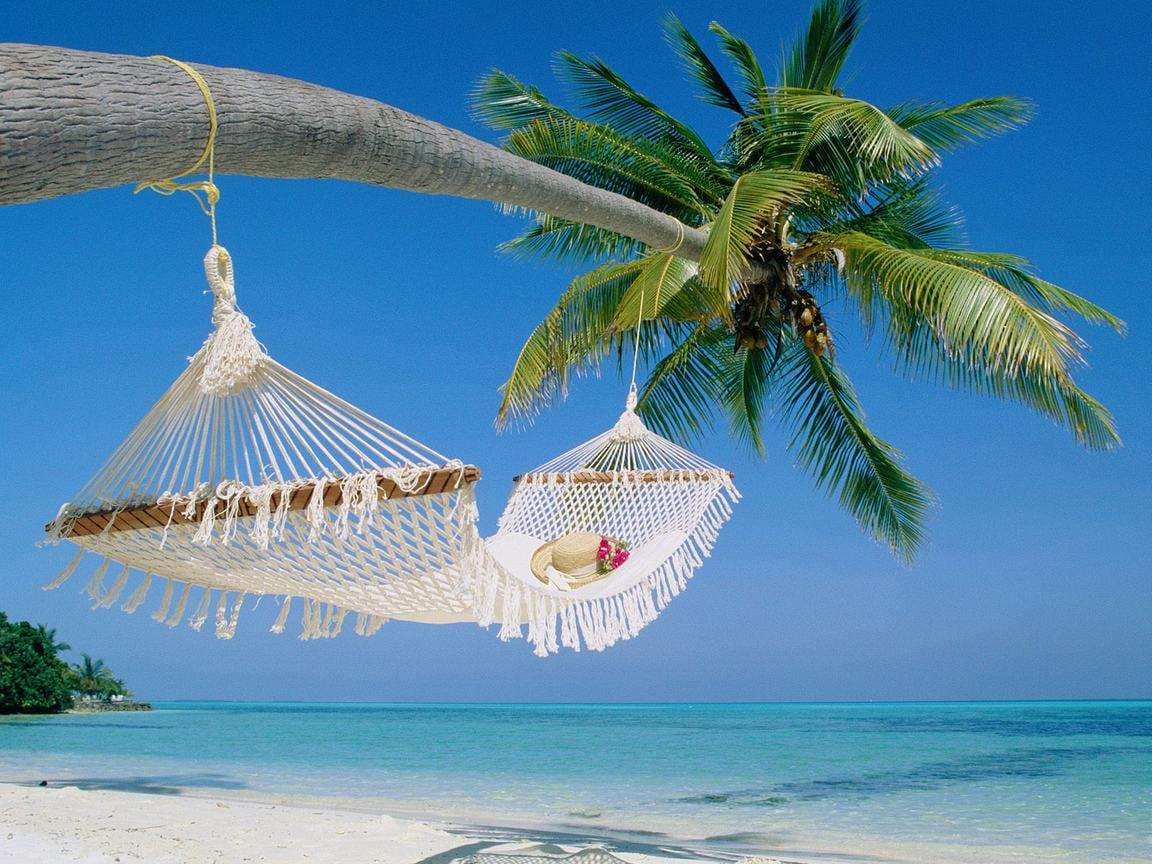 10-Day Fly-In Safari & Zanzibar Beach Holiday - Gallery 2