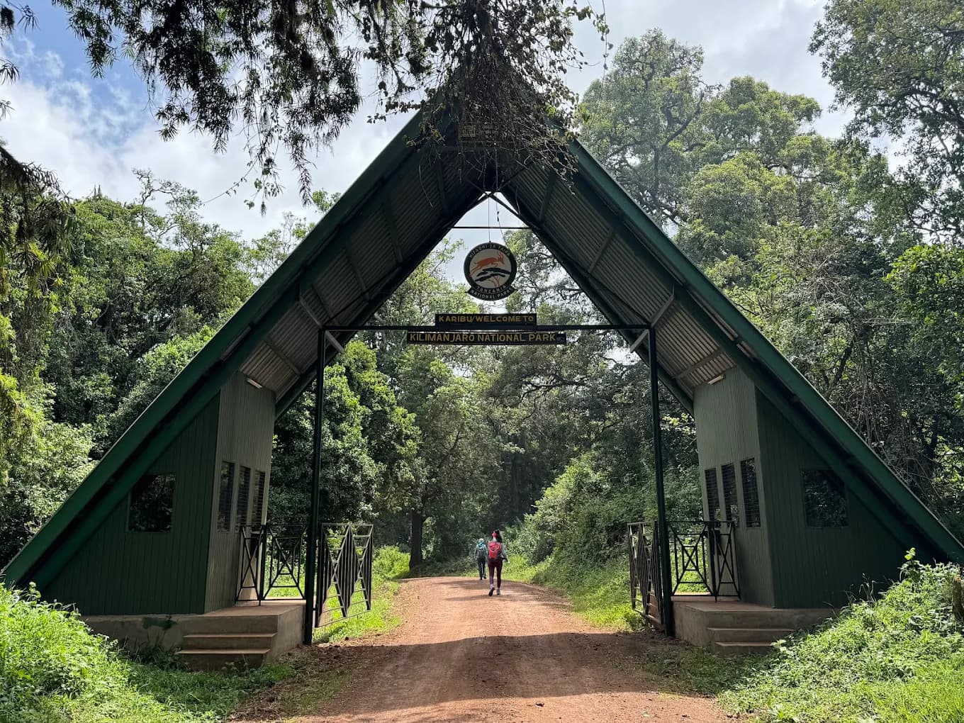 8-Day Lemosho Route Trek – Kilimanjaro Climb