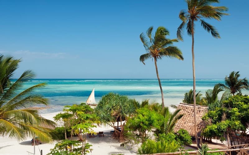 12-Day Kilimanjaro Machame Route & Zanzibar Beach Holiday - Gallery 2