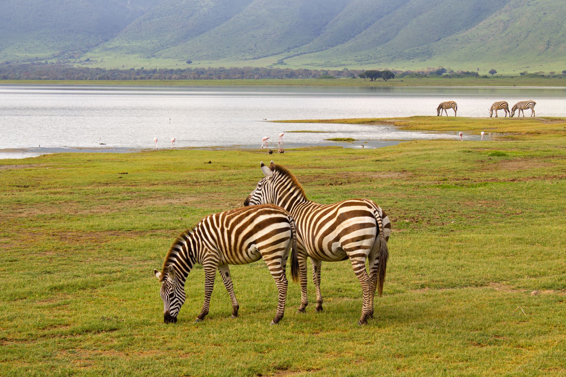 7-Day Ultimate Tanzania Northern Circuit Safari - Gallery 1