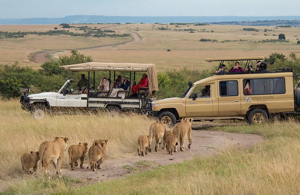 7-Day Ultimate Tanzania Northern Circuit Safari - Main