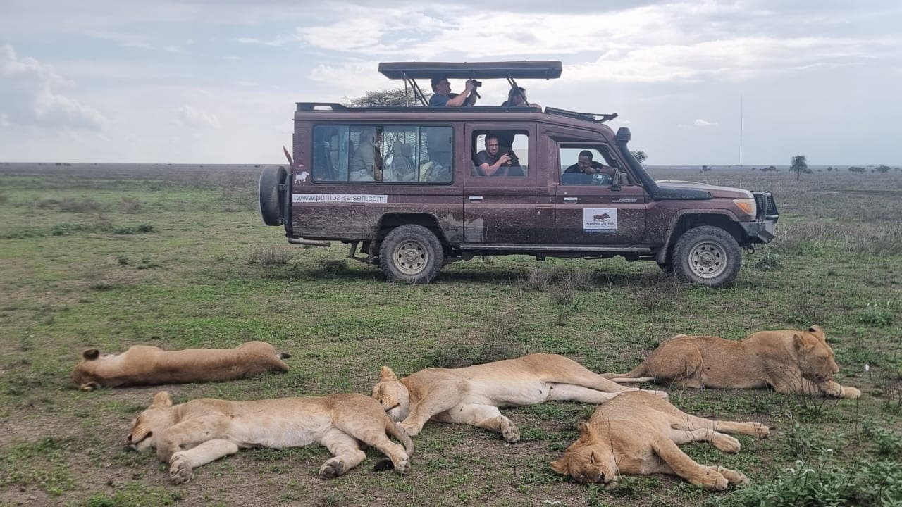 3-Day Mikumi Safari Getaway from Zanzibar (Round Trip) - Main