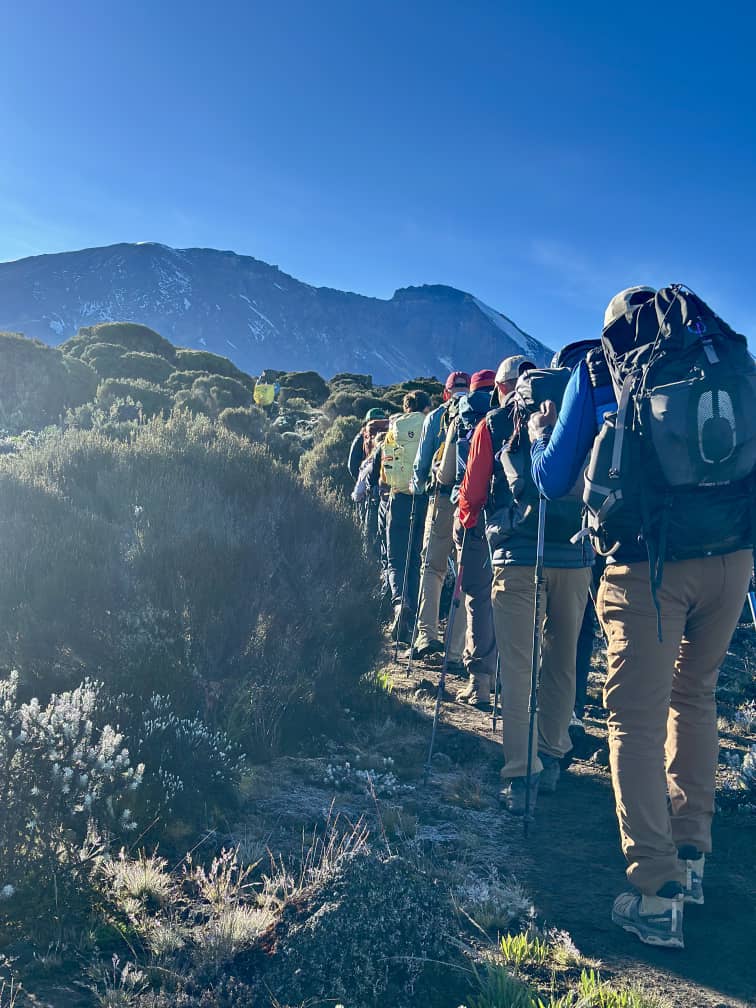 7-Day Mount Kilimanjaro Climb via the Scenic Machame Route - Gallery 1