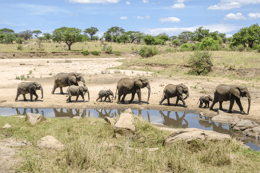 6-Day Comfort Family Adventure - Main