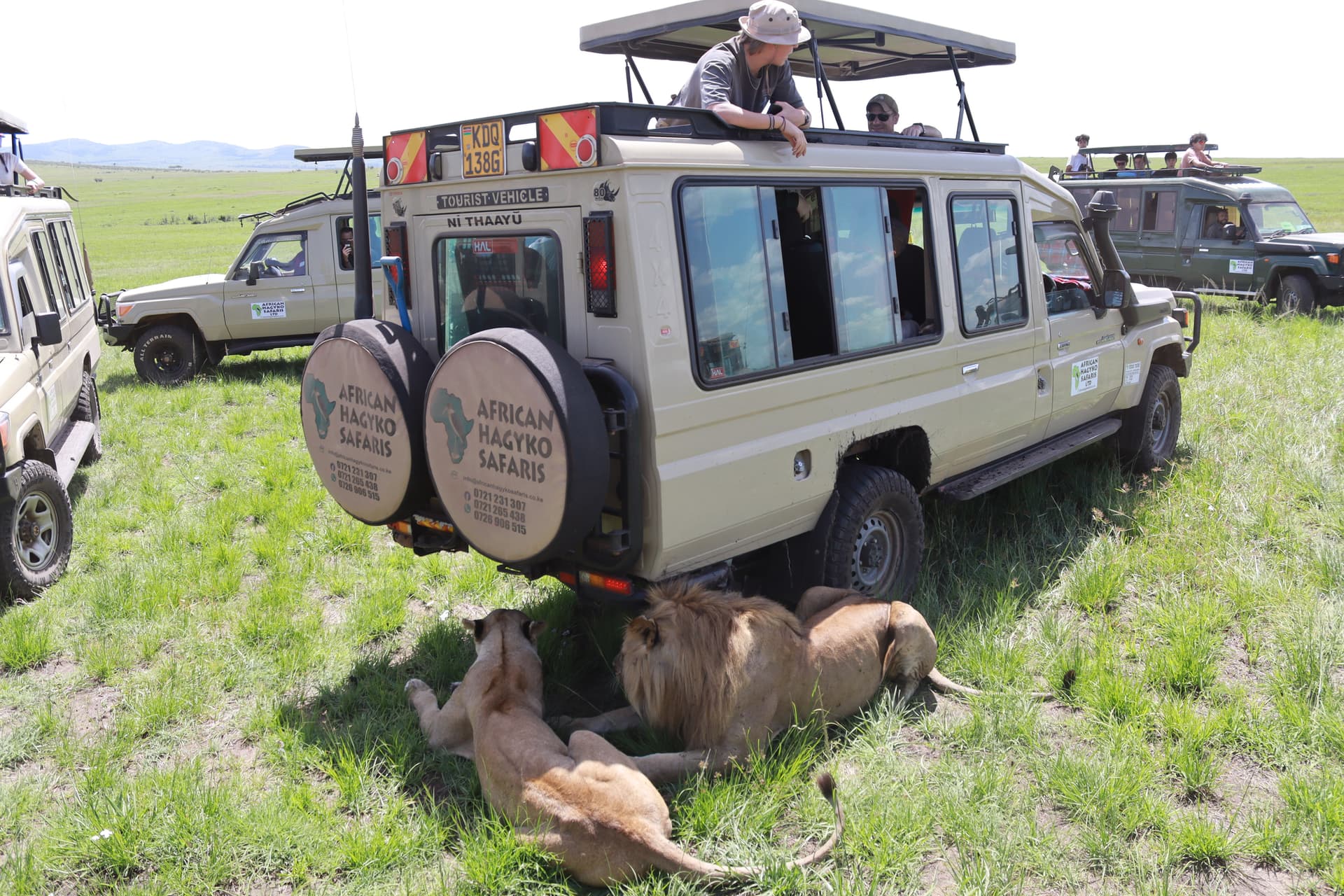 7-Day Amboseli NP, Hells Gate NP, Lake Nakuru NP & Masai Mara NR - Main