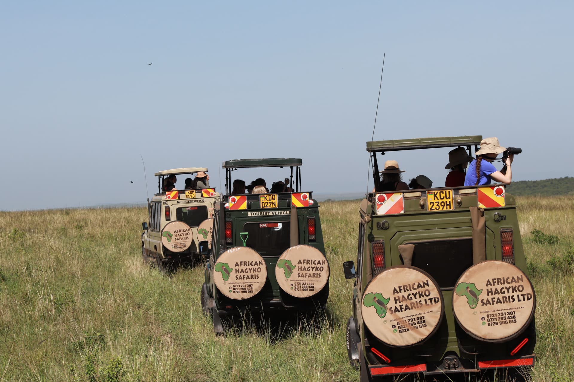 4-Day Masai Mara National Reserve Budget Tour - Main